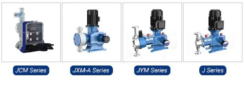 Jwm-B Series Positive Displacement Pump Diaphragm Metering Pump