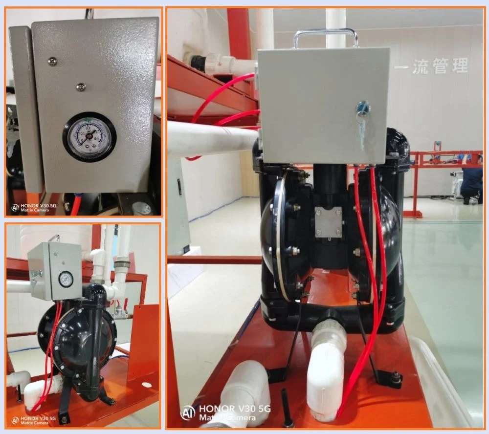Automatic Diaphragm Pump Dewatering System, for Easily Control The Fluid Level Within a Desired Range of a Tank, Sump etc.