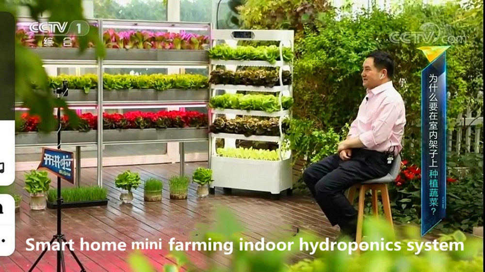Smart Home Time Automatic Control Vegetable Hydroponics Grow System