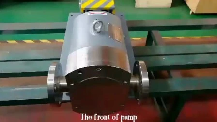 Stainless Steel Sanitary Food Chemical Grade Positive Displacement Rotary Lobe Pumps